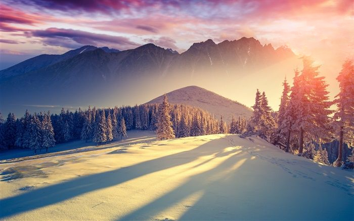 Vietnam in Winter: A Journey Through Festivals, Foods, and Landscapes